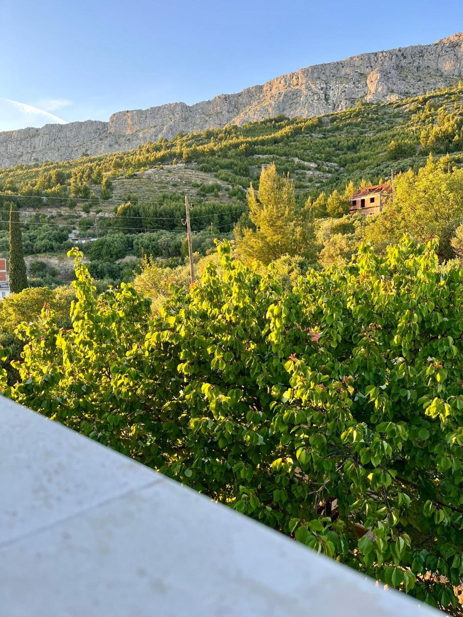 Apartments Curnic Jesenice (Split-Dalmatia) Exterior foto